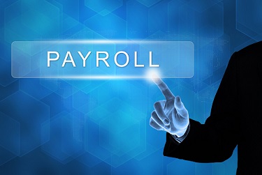 Payroll software, a must or a don’t?